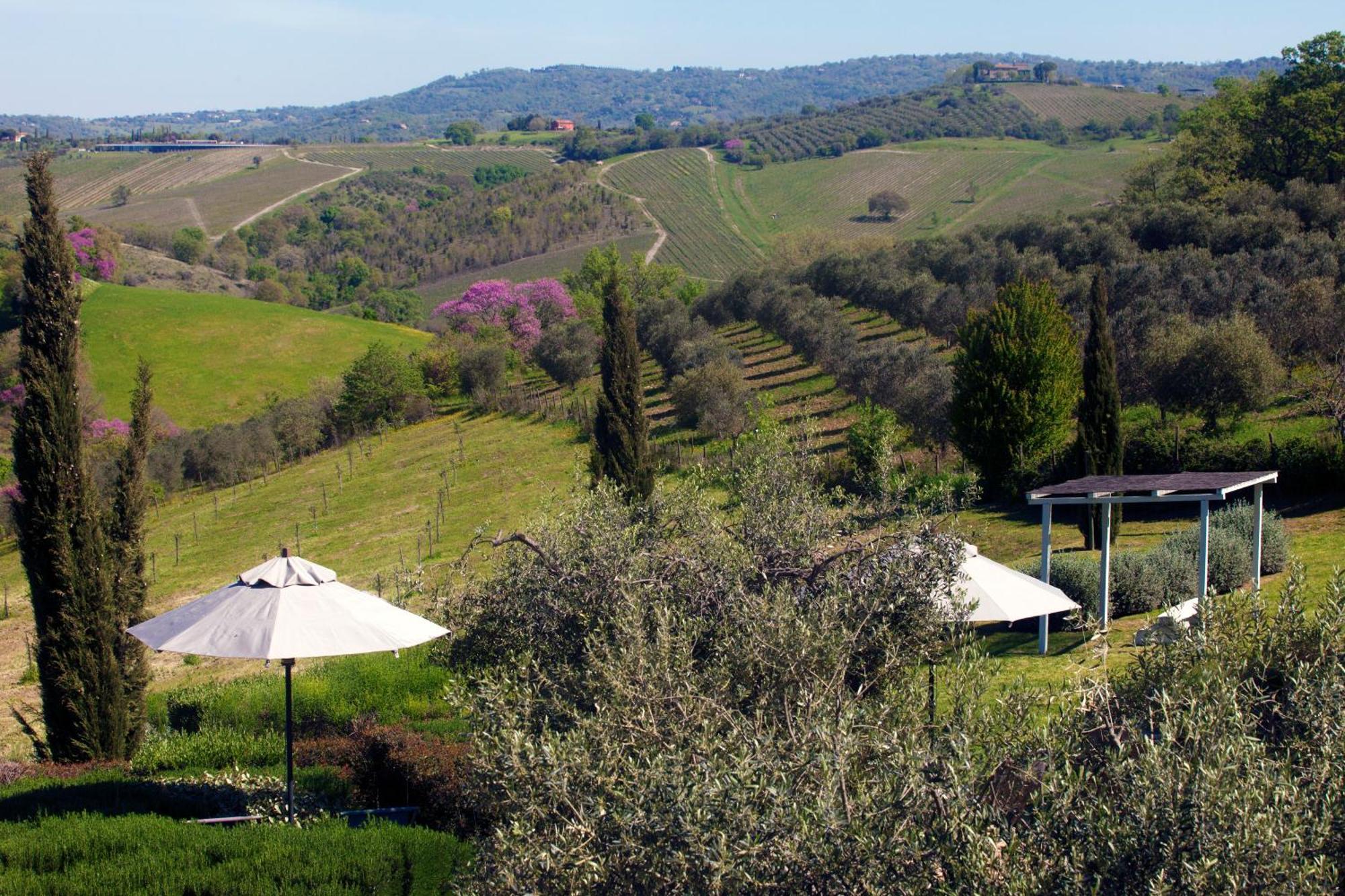 Casale Sterpeti Bed & Breakfast Magliano in Toscana Eksteriør bilde