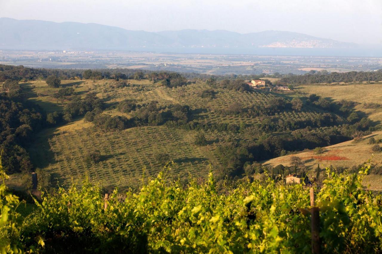Casale Sterpeti Bed & Breakfast Magliano in Toscana Eksteriør bilde